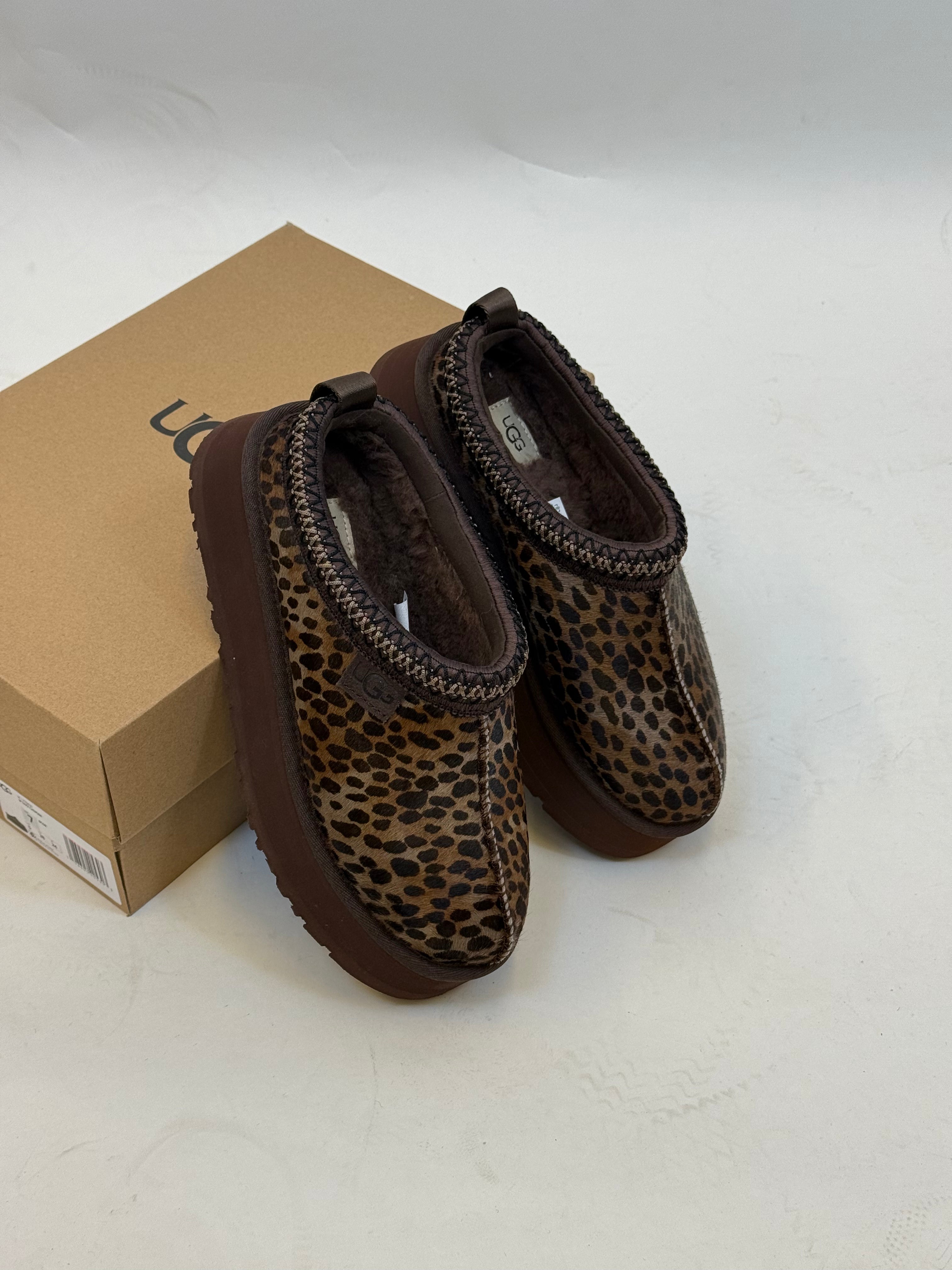 UGG Tazz Caspian Brown (W)