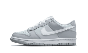 Nike Dunk Low Two Toned Grey (GS)