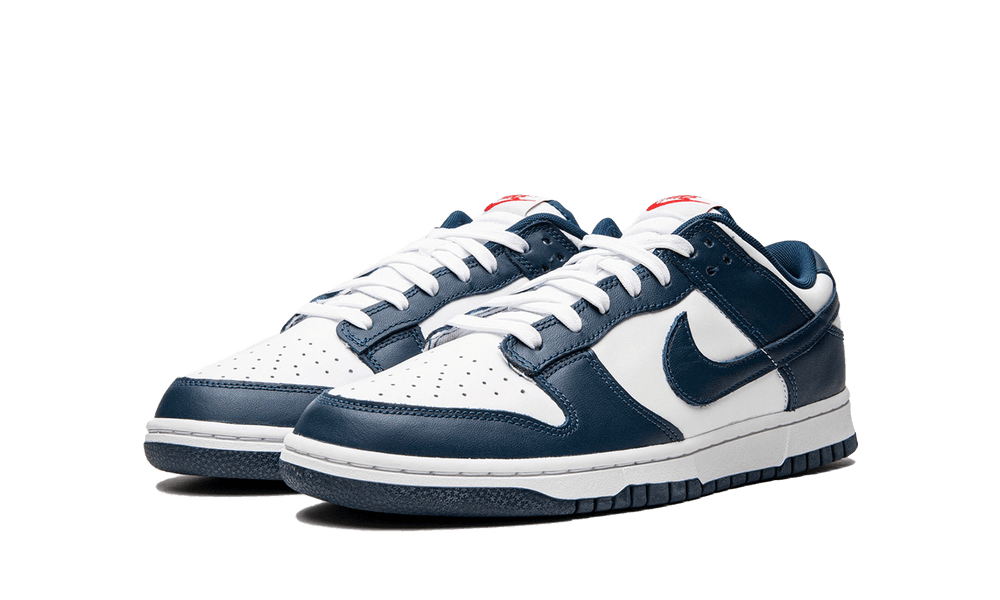 Nike Dunk Low Valerian Blue